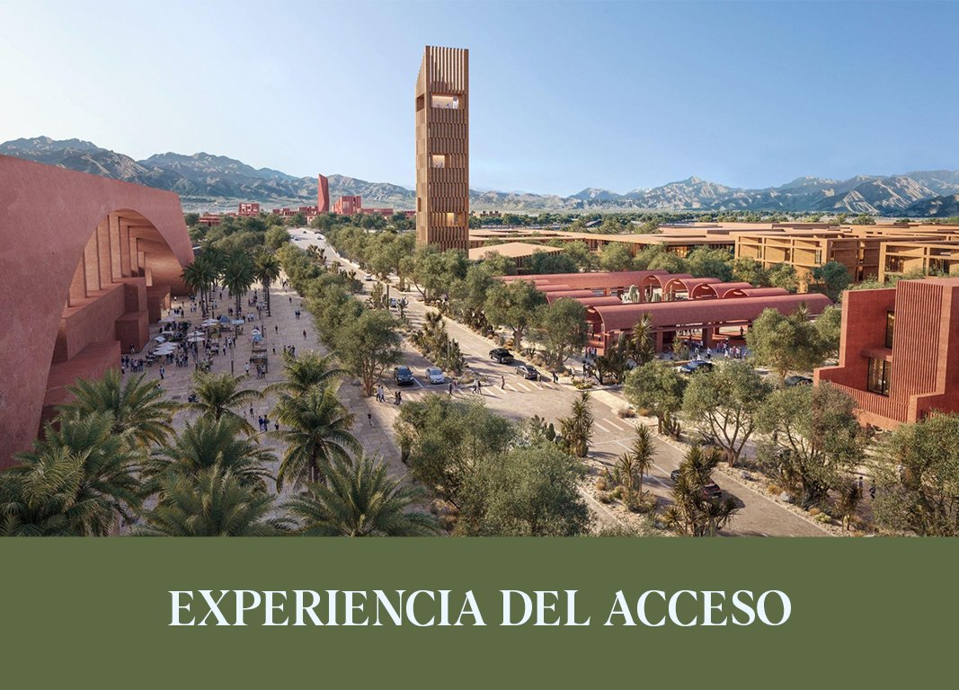 EXPERIENCIA DE ACCESO