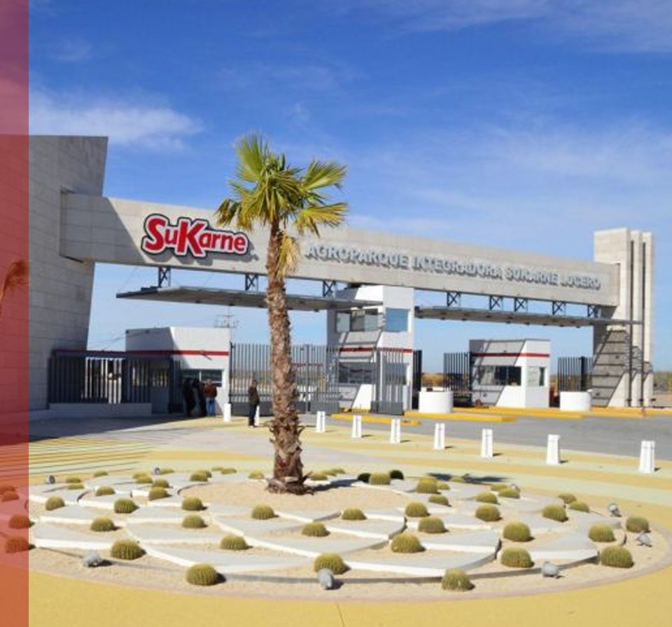 TERRAVIZIÓN - FOTOS DIFERENCIADORES 02 SUKARNE - 202601